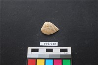 貝殼藏品圖，第1張