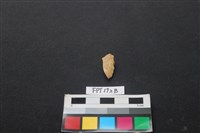 偶蹄類動物骨藏品圖，第1張