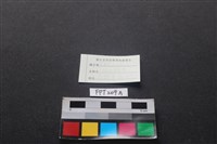 魚骨藏品圖，第3張