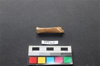 哺乳類動物骨藏品圖，第1張