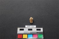 人牙藏品圖，第2張