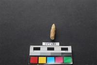 鹿骨藏品圖，第2張