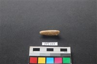 偶蹄類動物骨藏品圖，第1張
