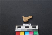 山羌骨藏品圖，第2張