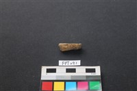 鹿骨藏品圖，第1張