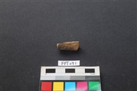 鹿骨藏品圖，第2張