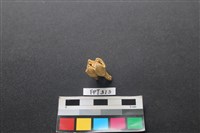 鹿骨藏品圖，第2張