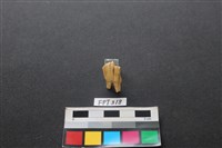 鹿骨藏品圖，第2張