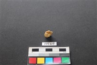 鹿骨藏品圖，第2張
