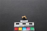 鹿骨藏品圖，第1張