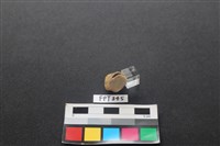 鹿骨藏品圖，第2張