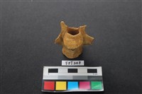 鹿骨藏品圖，第2張