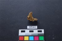 鹿骨藏品圖，第2張