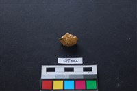 鹿骨藏品圖，第2張