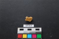 鹿骨藏品圖，第2張