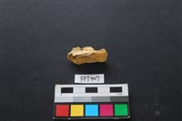 鹿骨藏品圖，第1張