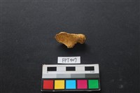 鹿骨藏品圖，第2張