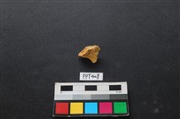 鹿骨藏品圖，第1張