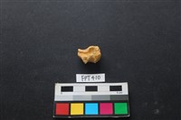 鹿骨藏品圖，第1張