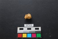 鹿骨藏品圖，第2張