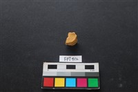 鹿骨藏品圖，第2張