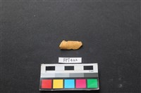 鹿骨藏品圖，第2張