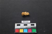鹿骨藏品圖，第2張