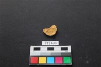 鹿骨藏品圖，第2張