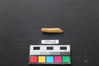 鹿骨藏品圖，第2張