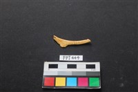 鹿骨藏品圖，第2張