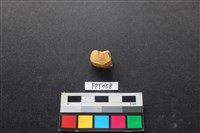 鹿骨藏品圖，第2張