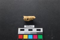 鹿骨藏品圖，第1張