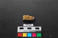 鹿骨藏品圖，第2張