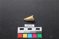 鹿骨藏品圖，第2張