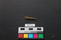 魚骨藏品圖，第2張