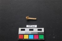 鱉骨藏品圖，第1張