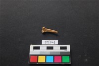 魚骨藏品圖，第2張