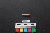 動物骨藏品圖，第2張