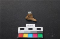 魚骨藏品圖，第2張