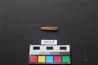 魚骨藏品圖，第1張