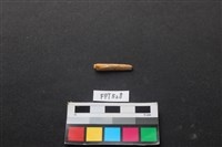 魚骨藏品圖，第2張