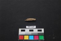 魚骨藏品圖，第2張