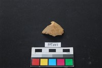 魚骨藏品圖，第1張