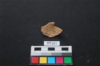 魚骨藏品圖，第2張