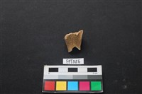 鹿骨藏品圖，第1張