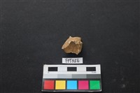 鹿骨藏品圖，第3張