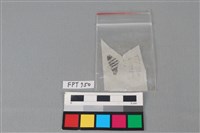 陶片藏品圖，第3張