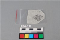 陶片藏品圖，第3張