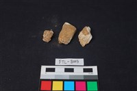 獸骨藏品圖，第2張