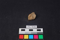 獸骨藏品圖，第2張